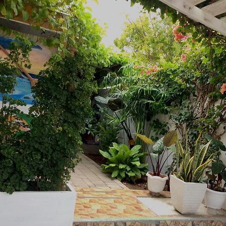 Gardenia House Rent Rooms Санта-Фе Экстерьер фото
