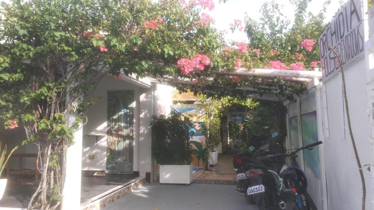 Gardenia House Rent Rooms Санта-Фе Экстерьер фото